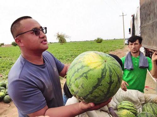 贺阳吃瓜,揭秘娱乐圈背后的那些事儿 第1张 贺阳吃瓜,揭秘娱乐圈背后的那些事儿 第1张